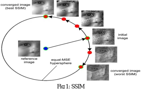 Fig 1: SSIM 