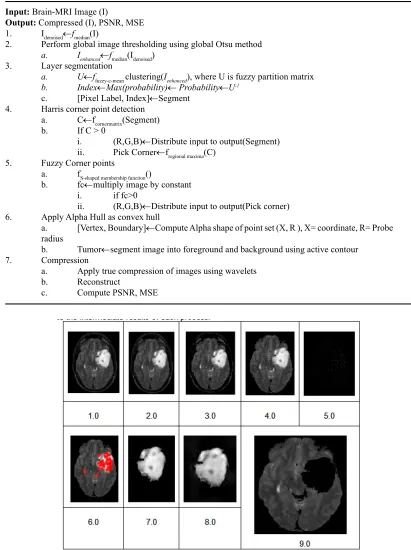 Fig. 4. Intermediate outputs of the processed Brain-MRI of proposed ICRODI, 1.0 input MRI- image, 2.0 Median filter, 3.0 ROI(enhanced), 4.0 Layer segmentation, 5.0 Harris corner point, 6.0 Fuzzy corner point, 7.0 Alpha Hull, 8.0 wavelet compression of RODI, 9.0 compression of Non-RODI