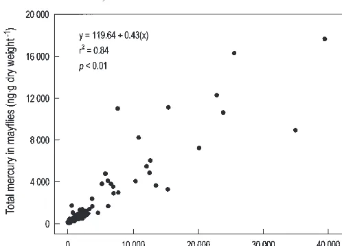 Fig. 2. Relationship between �Hg concentration in Hexageniamayflies and that in test sediments from all study sites in theSudbury River basin (combined data from all four bio-accumulation tests).