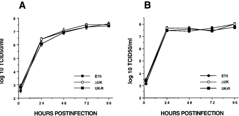 FIG. 4. Expression of UK protein p15 in ASFV-infected porcine macrophagecell cultures