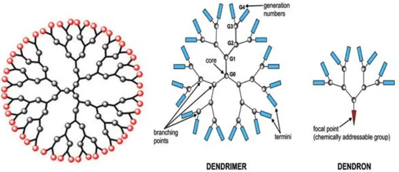 Fig. 5. Dendrimers are repetitively branched molecules as the basic structure. PAMAM is the most well-known dendrimer