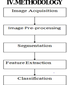 Fig. 1 Block diagram of mango disease detection 