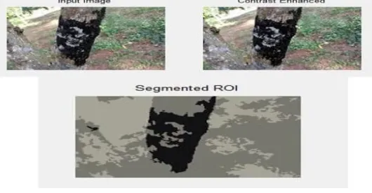 Fig 3 Image enhancement 
