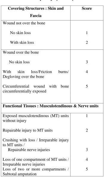 Table 1 – Open injury Severity Score 