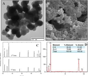 Figure 1. XRD parttern (A) and TEM image (B) of ZnS/Mn nanoparticles prepared by ultrasonic-assisted co-precipitation method