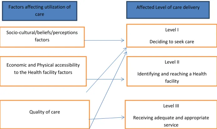 Fig 1: The interaction model between factors and level of care delivery affected (Adopted from  Thaddeus &amp;Maine and modified 