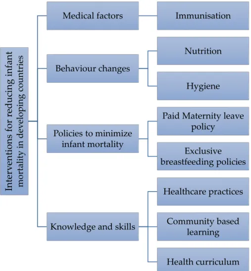 Figure 4. Themes and sub-themes of interventions for infant mortality. 