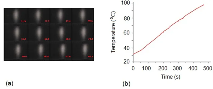 Fig. 2. Pixel shift of PVK-polycarbonate (a) and time-temperature dependence of heating (b)