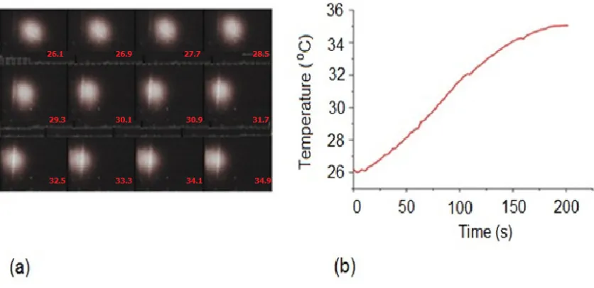 Fig. 3. Pixel shift of PDMS (a) and time-temperature dependence of heating (b). 