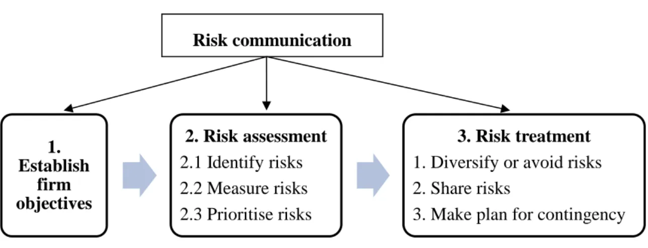 Figure 2-1: Risk Management Process, adapted from McNamee (1997) 