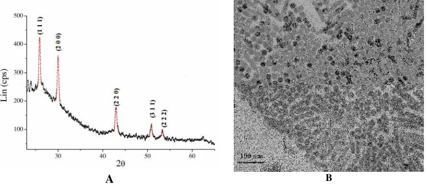 Figure 4. X-ray diffraction and TEM image of the PbS nanocrystal synthesized by sonochemical method.