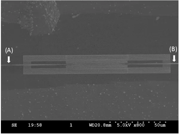 Figure 2.1: Suspension of large, hundred-µm scale strutures