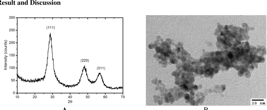 Figure 3.1. Typical XRD (A) and TEM image (B) of ZnS/Mn-NH2 particles prepared by co-precipitation, 4-ATP surface-modification