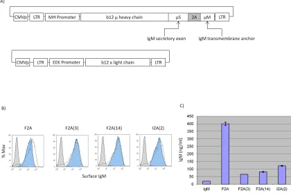 Figure 2.1  A) Schematic representation of the IgM  Molecular Rheostat 