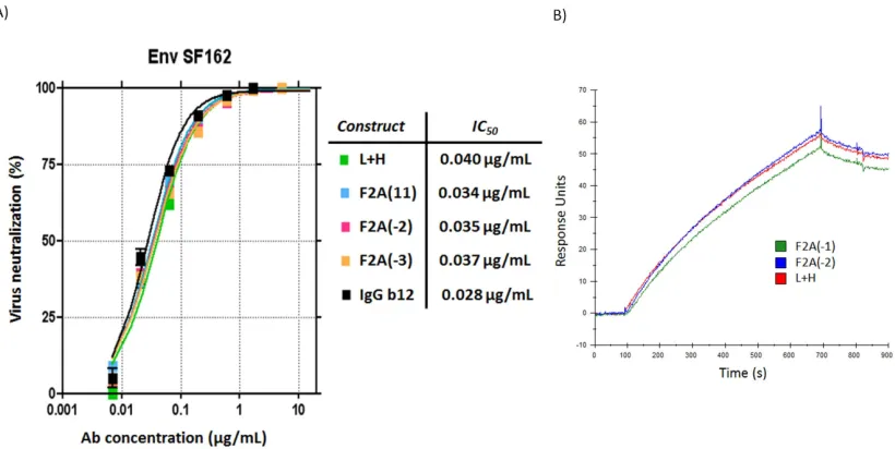 Figure 2.5  Secreted b12 IgG from the Molecular Rheostat constructs neutralized Env 