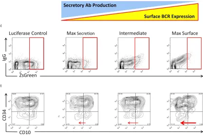 Figure 2.6  Molecular Rheostat BCRs promote maturation of EU12 cells. A) CD 34+ 