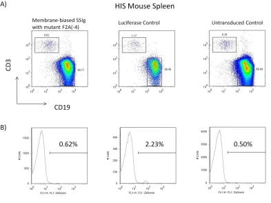 Figure 3.1 FACS analysis of the bone marrow of HIS mice reconstituted from human 