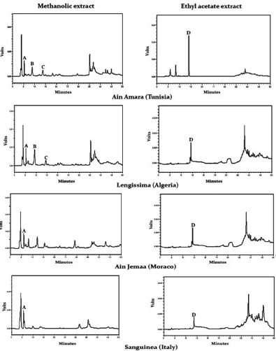 Fig. 2. Chromatogram (HPLC-UV/SPD-10Avp) of the methanolic and ethyl acetate extract of four Opuntiaficus-indica cultivars (50 min)