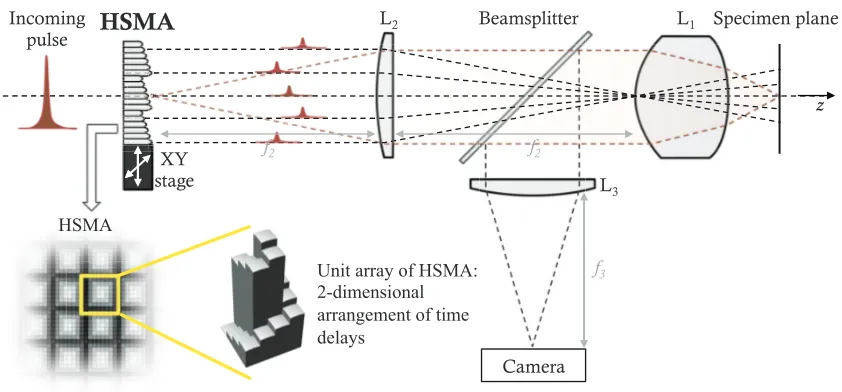 Figure 3.8: Setup of a HSMA-based temporal focusing microscope. L1 is the microscope objectivelens