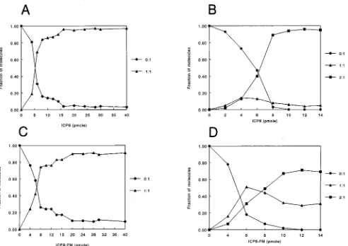 FIG. 5. Quantiﬁcation of gel shift data for ICP8 (A and B) and ICP8-FM (C and D). (A and C) Results with oligo(dT)25; (B and D) results with oligo(dT)50