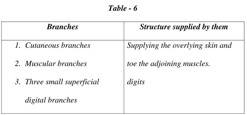 Table - 6 Branches 