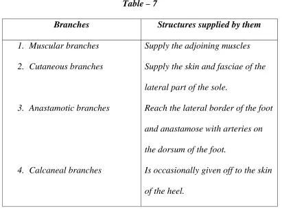 Branches Table – 7 Structures supplied by them 