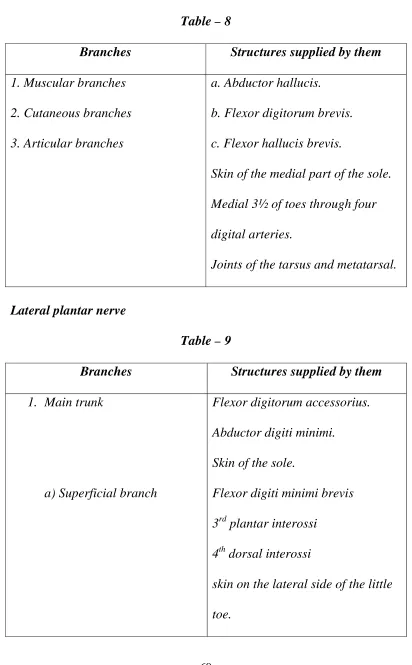Branches Table – 8 Structures supplied by them 