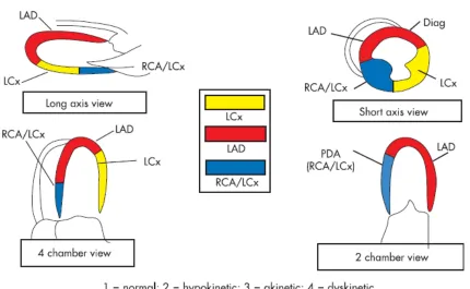 Figure.3 The 16 segment American Society of Echocardiography model for characterization of regional LV 