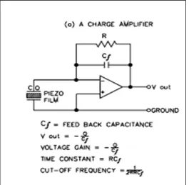 Fig. 4 PVDF film sensor 