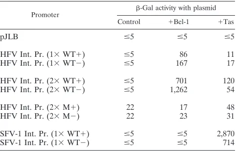 TABLE 1. The HFV internal promoter contains a high-afﬁnityin vivo Bel-1 DNA binding site