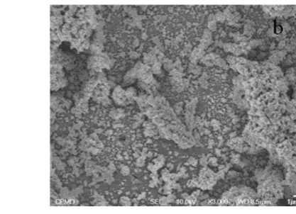 Fig. 8a-b. AFM images of two samples deposited from solutions containing 20 mM and 40 mM sulfamic acid at potential of -0.9 V