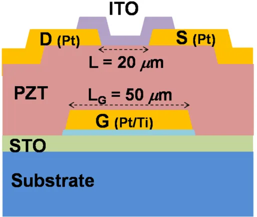 Fig. 1. Schematic drawing of the FGT with a bottom-gate and top-contact configuration