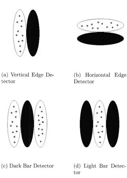 Figure 2.2:darkits (a) and (b) are examples of neurons in VI that act as edge detectors.(c) and (d) are examples of neurons in VI what will respond most strongly to vertical and light bars