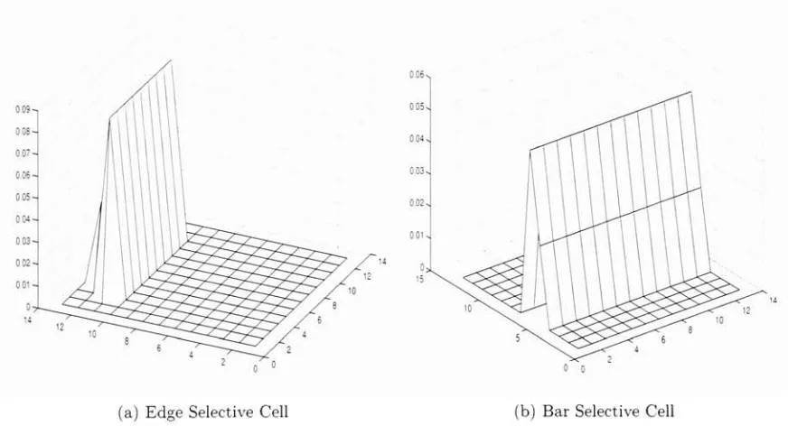 Figure 5.1:barthatits These are two examples of cells that are formed when a strong edge and are present in an image.The result is the formation of edge and bar detectors activate most strongly when an edge or bar is present in the appropriate part of receptive field.