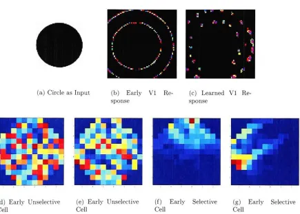 Figure 5.2: The first row shows the input image, the response in VI after only a 10iterations, the response after 10,000 iterations.The second row shows a number ofcells after 10 iterations and after 10,000 iterations.