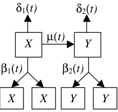 Figure 1: Developmental process of a tissue or organ as described by Leroux et al.  Thedevelopmental parameters are birth (β( )i t for i=1,2), death  (δ( )i t for i=1,2) andtransformation (µ( )t).