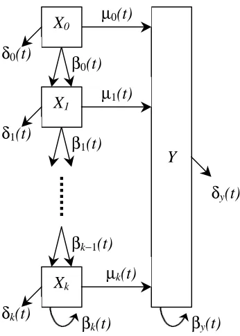 Figure 2: A general CGD system with k+2 states.  This system allows the cells to gothrough various levels of maturation before committing to the differentiation process.