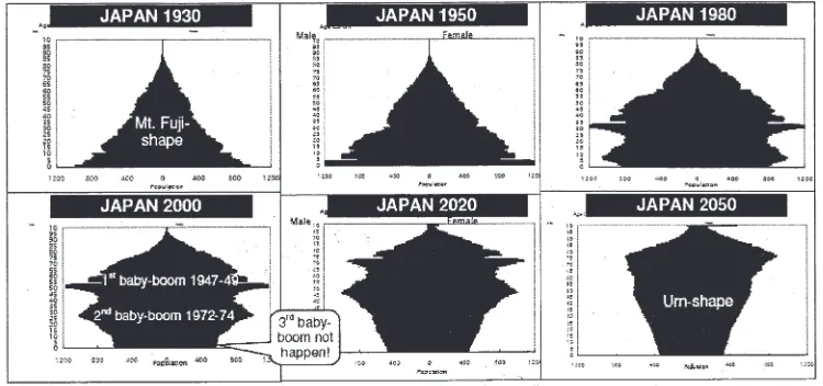 Figure 8: Japan Population Pyramid