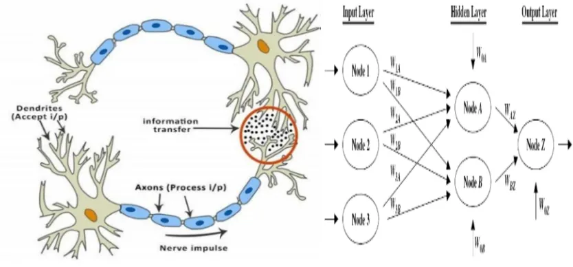 Fig : Neural Networks 