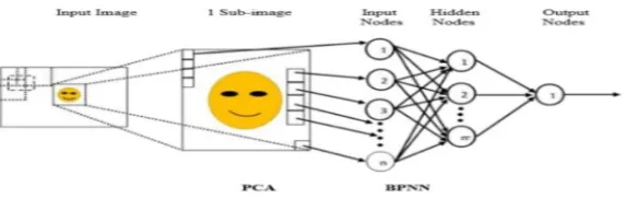 Fig : PCA and NN on image 