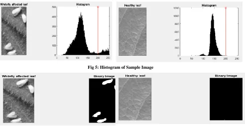 Fig 5: Histogram of Sample Image 