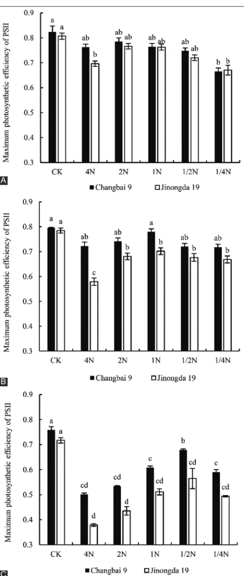 Fig 6. Effect of salt stress on maximum photosynthetic efficiency of PSII of rice leaves for different nitrogen levels during different growth periods (A) Tillering period; (B) Booting period; (C) Heading period
