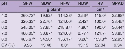 Fig 1. Melon root growth at different pH levels of the nutrient solution, at 40 DAT.