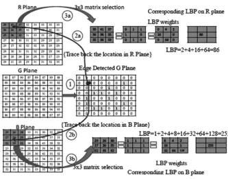 Fig. 1 : Different shape of the texton for feature extraction