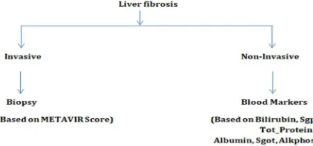 Figure 1. Comparison chart for liver fibrosis methods. 