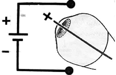 Figure 8: Corneo-retinal potential 