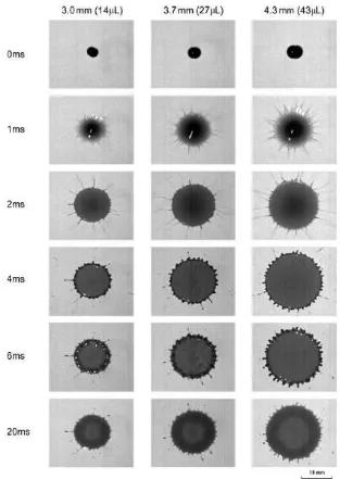 Figure 2: High-speed photograph time series comparing impact dynamics of three different 