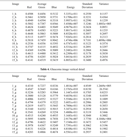 Table 3. Healthy image vertical detail