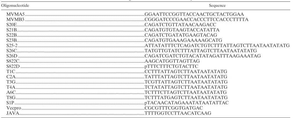 TABLE 1. Oligonucleotides used in this study