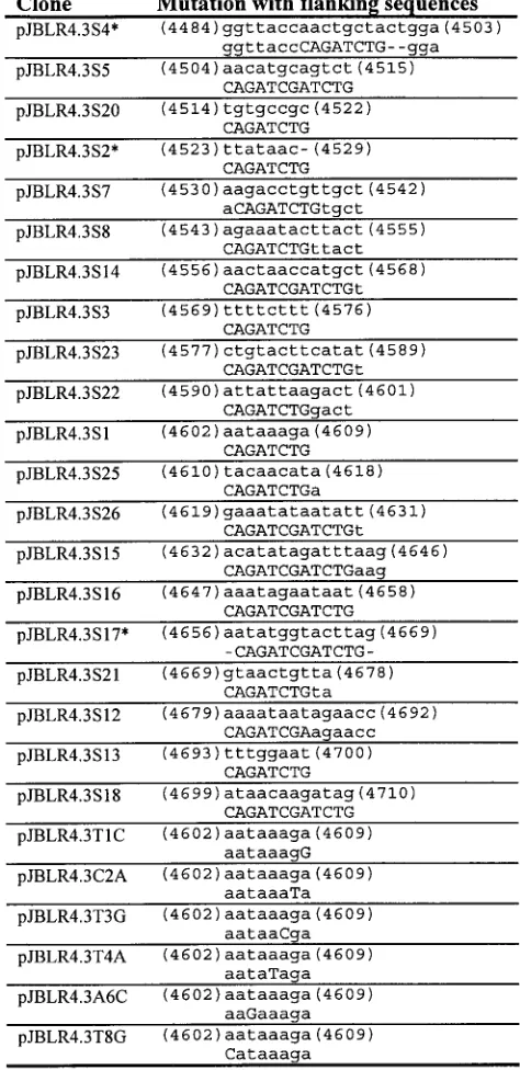 FIG. 2. Twenty-six linker-scanning and point mutations presented in order ofsequence position